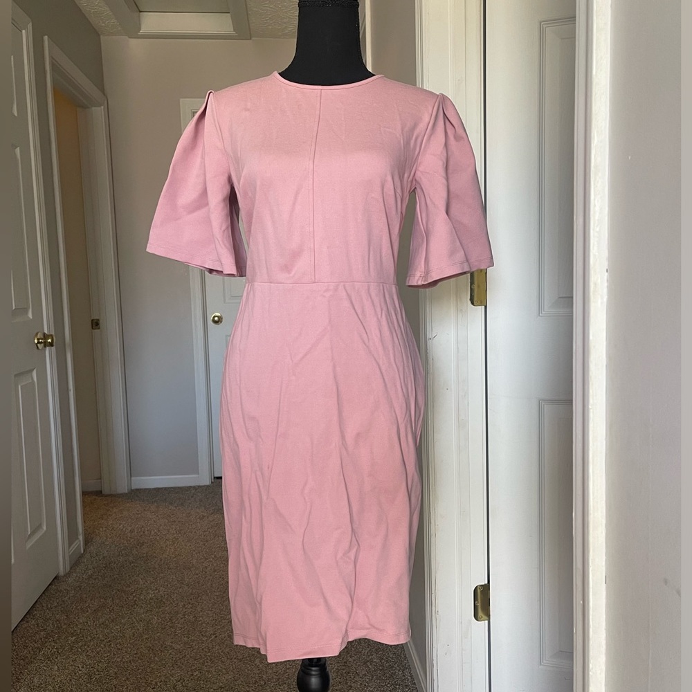 Rachel Parcell bodycon dress